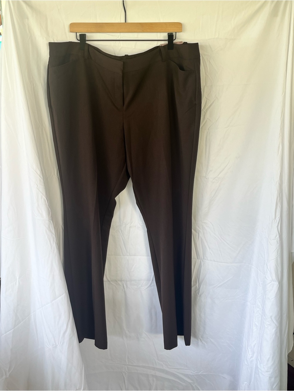 Worthington Women's Modern Fit Trousers in Deep Brown size 20w